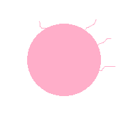 https://tanpure-lab.com/wp-content/uploads/2018/10/元毛玉-2.png
